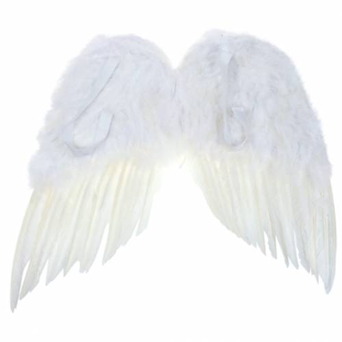 Floristik24 Pluma Alas Blanca 55x52cm
