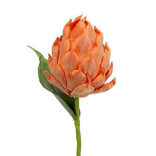 Alcachofa de espuma naranja 14cm L28cm 1p