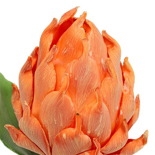 Alcachofa de espuma naranja 14cm L28cm 1p