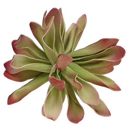 Floristik24 Flor de espuma Ø12cm Verde / Rojo 6pcs