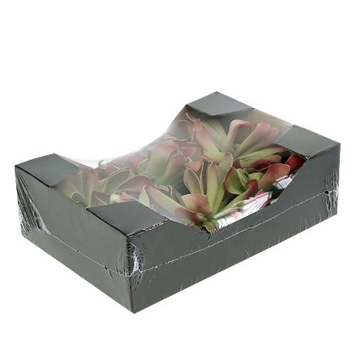 Floristik24 Flor de espuma Ø12cm Verde / Rojo 6pcs