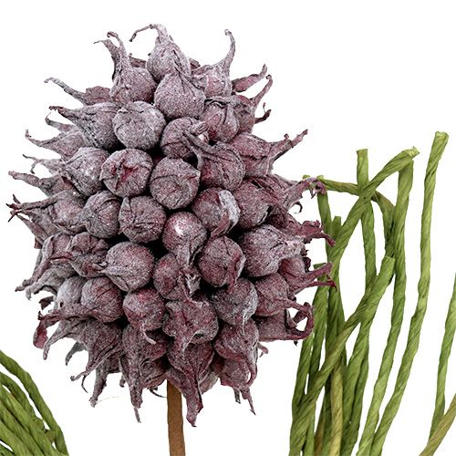 Floristik24 Espuma Flor Artificial Flores Púrpura L65cm