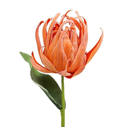 Floristik24 Flor de espuma Naranja 12cm L30cm 1pc