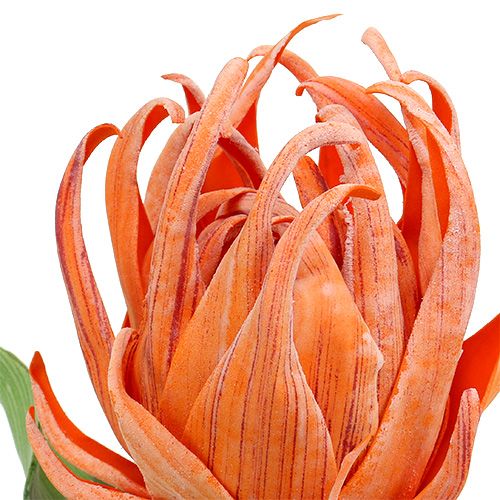 Floristik24 Flor de espuma Naranja 12cm L30cm 1pc