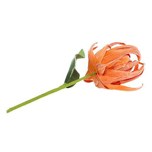 Floristik24 Flor de espuma Naranja 12cm L30cm 1pc
