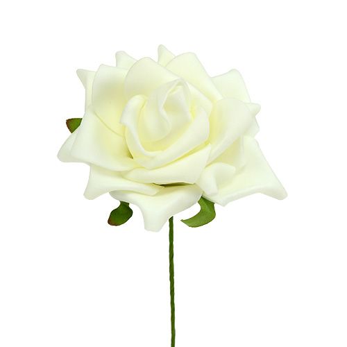 Floristik24 Rosa de espuma Ø7,5cm Crema 18 uds