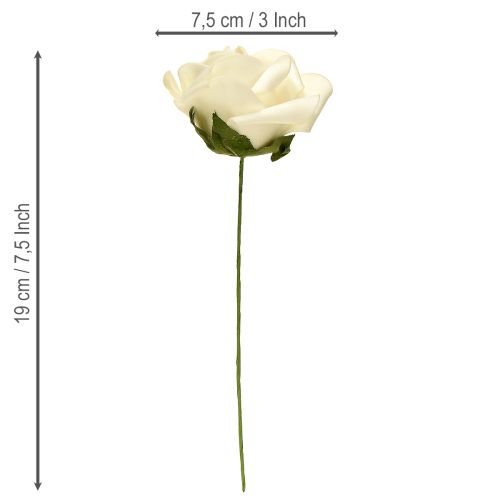 Artículo Rosas de espuma con tallo flores espuma crema Ø7,5cm 18 uds