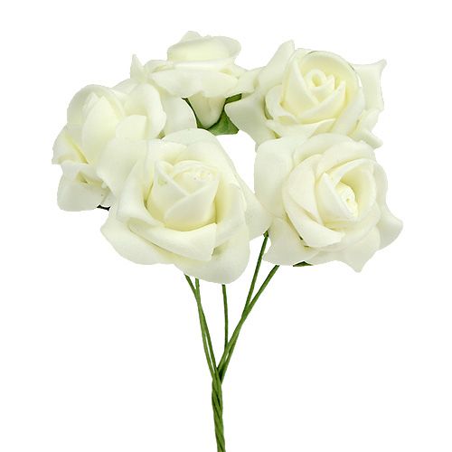Floristik24 Rosa Foam Ø4,5cm Crema 36uds