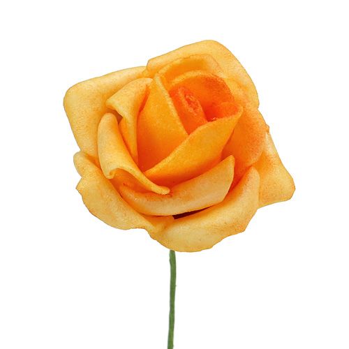 Floristik24 Rosa de espuma Ø 3,5 cm Albaricoque 48 piezas