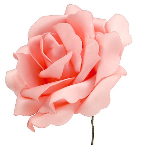 Floristik24 Espuma Rosa Espuma Rosa Salmón Ø15cm 4uds