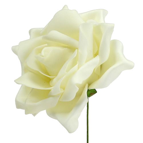 Floristik24 Espuma rosas crema Ø15cm 4uds