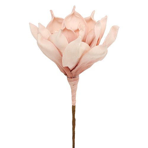 Floristik24 Flor de espuma rosa magnolia Ø15cm L65cm