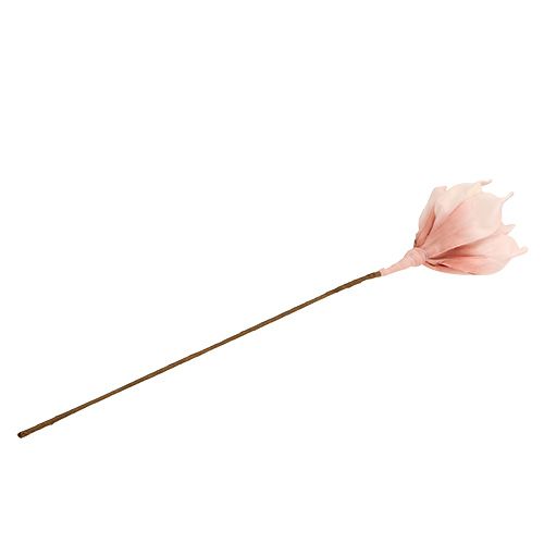 Floristik24 Flor de espuma rosa magnolia Ø15cm L65cm