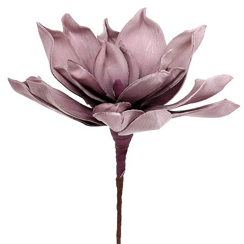 Floristik24 Flor de espuma Magnolia Berry Ø15cm L67cm
