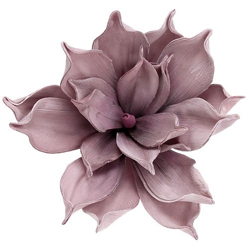 Artículo Flor de espuma Magnolia Berry Ø15cm L67cm