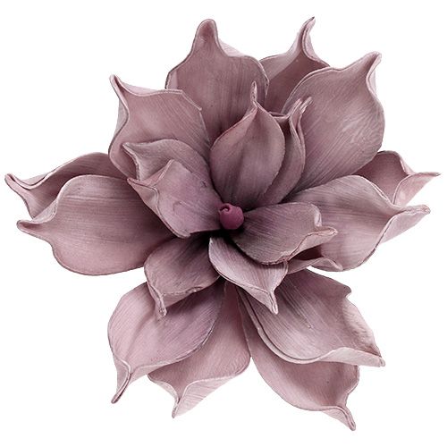 Floristik24 Flor de espuma Magnolia Berry Ø15cm L67cm