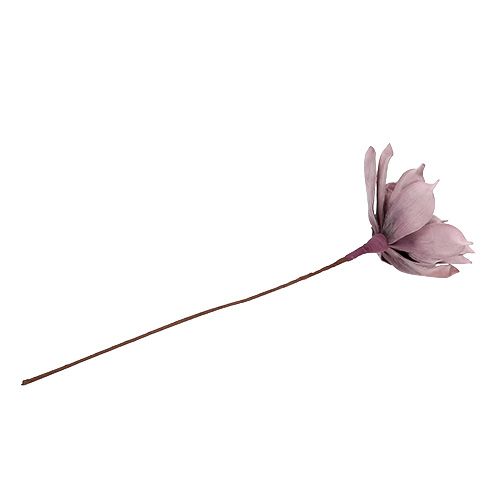 Floristik24 Flor de espuma Magnolia Berry Ø15cm L67cm