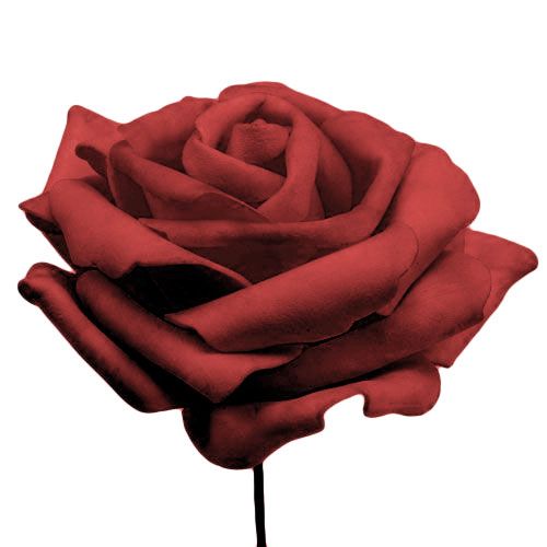 Artículo Rosa de espuma roja Ø10cm 8 piezas