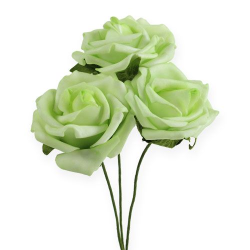 Floristik24 Rosa foam Ø 6cm verde 27p
