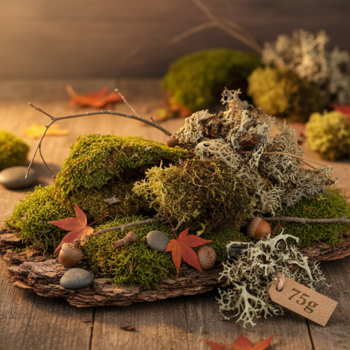 Artículo Musgo decorativo para manualidades, musgo natural mixto verde y verde claro, 75 g