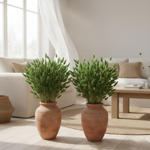 Artículo Lagurus seco (hierba cola de liebre) 65-70cm 100g