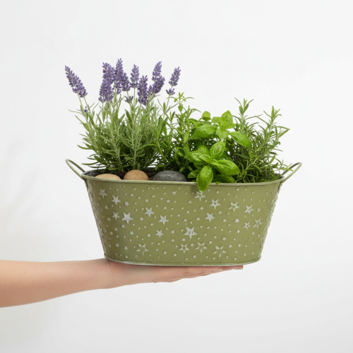 Artículo Bol ovalado de metal con estrellas y asas, verde, 31×16cm, H12.5cm