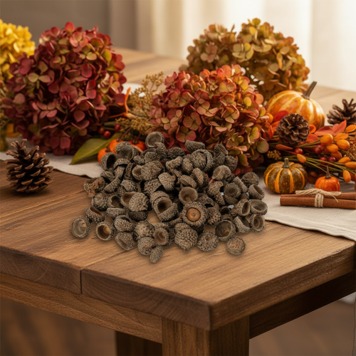 Cáscaras de bellota naturales, cuencos decorativos para otoño y Adviento, 2 cm, 300 g | Floristik24.es