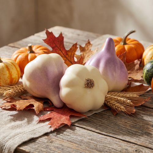 Decoración vegetal ajo amarillo morado en red Ø4,5cm 12 piezas | Floristik24.es