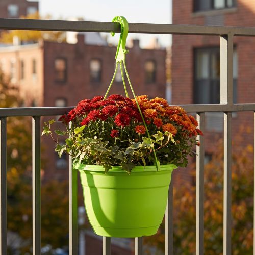 Cesta colgante 25cm verde | Floristik24.es