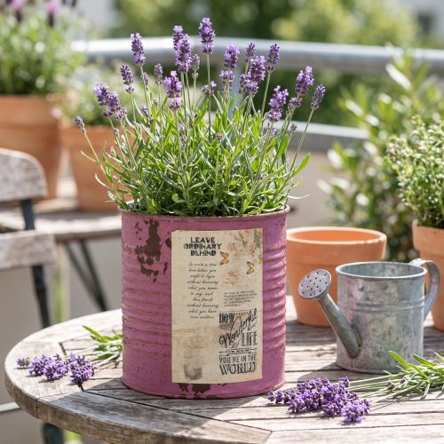 Macetero decorativo vintage de metal morado para decoración veraniega Ø11cm H10.5cm | Floristik24.es