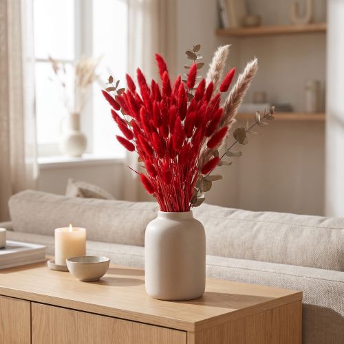 Hierba decorativa roja, Lagurus, hierba aterciopelada, arreglos de flores secas L20–50cm 25g | Floristik24.es