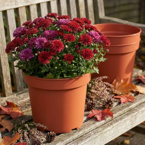 Macetero plástico Ø23cm 10ud | Floristik24.es