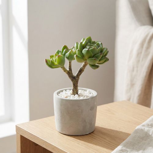 Artículo Suculenta Echeveria verde artificial H15cm