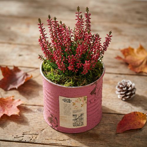 Maceta decorativa redonda, morada, de metal, estilo vintage, Ø8cm, H7.5cm | Floristik24.es