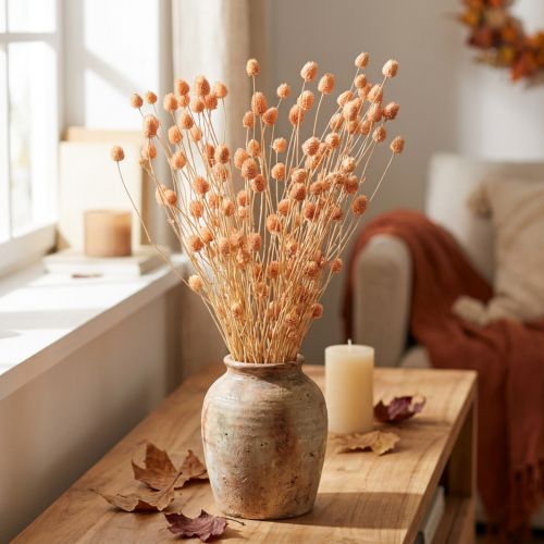 Cardos de fresa cardos de decoración secos en salmón 55cm 100g | Floristik24.es