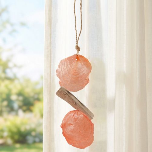 Percha decoración marítima Conchas de capiz madera flotante naranja natural 35cm | Floristik24.es