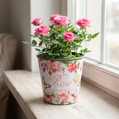 Jardinera, cubeta para plantar, jardinera con rosa H13cm Ø13.5cm | Floristik24.es