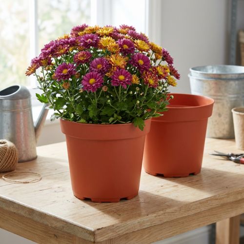 Macetero plástico Ø21cm 10uds | Floristik24.es