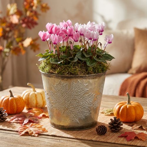 Maceta de otoño, jardinera con hojas, decoración de metal dorado Ø16.5cm H14.5cm | Floristik24.es