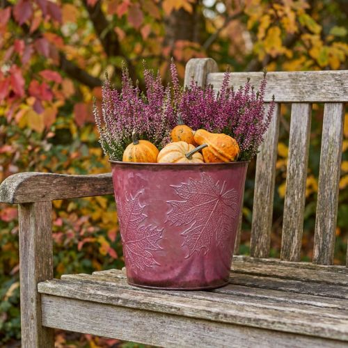 Jardinera, cubo de metal con hojas, decoración otoñal vino tinto Ø18cm H17cm | Floristik24.es