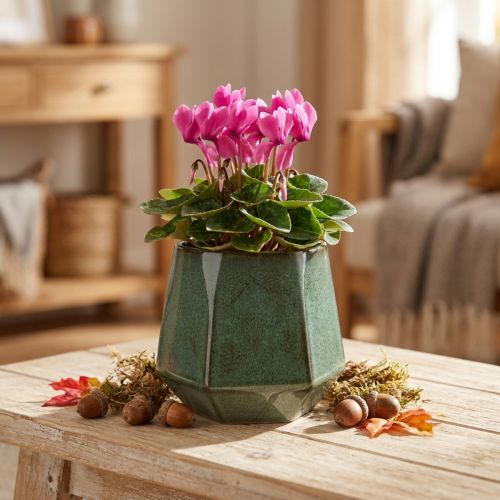 Macetero macetero de cerámica verde hexagonal Ø10cm H9cm | Floristik24.es