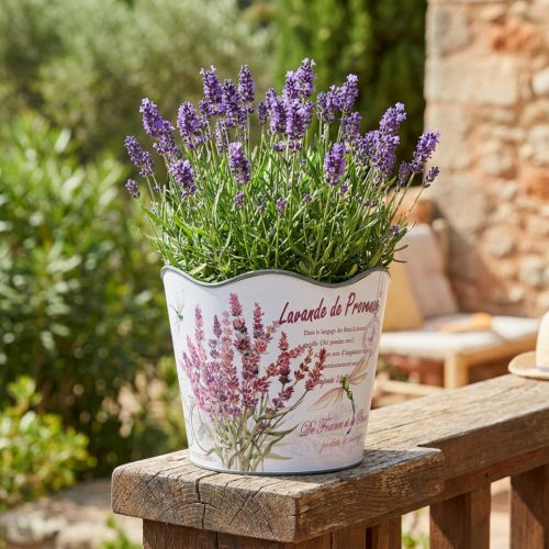 Macetero macetero de plástico lavanda de verano Ø16,5cm H13,5cm | Floristik24.es