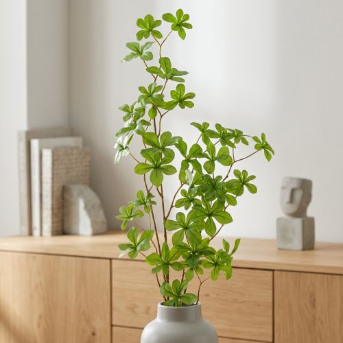 Rama de Schefflera artificial,