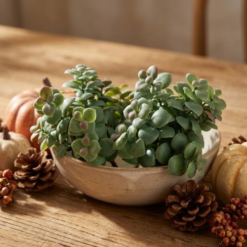 Plantas artificiales de eucalipto artificial para pegar 18cm 4uds | Floristik24.es