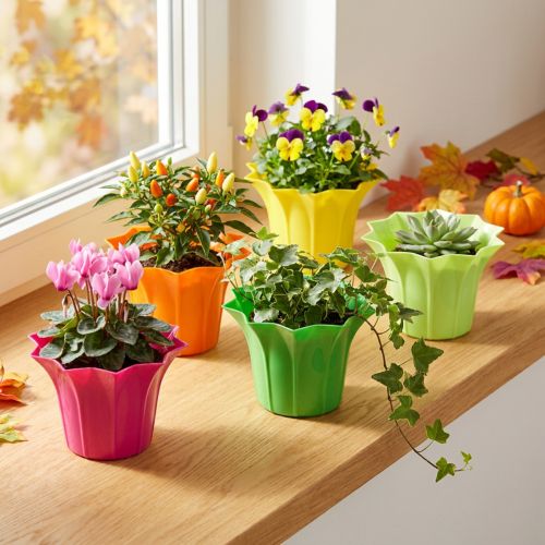 Jardinera de plástico, colores surtidos. Ø9cm 10 piezas | Floristik24.es