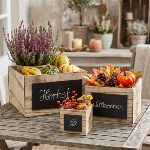 Cajas rústicas de madera con superficie de pizarra – color natural y negro, varios tamaños – solución de organización versátil – juego de 3 | Floristik24.es
