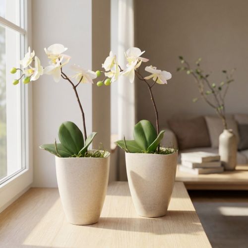 Artículo Maceta para orquídeas, maceta, plástico, beige jaspeado, 13,5x13cm, H16,5cm, 2 piezas
