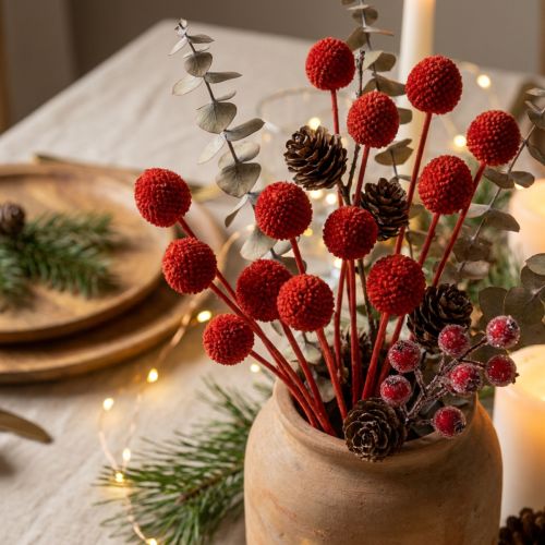 Artículo Flores de Craspedia secas, teñidas, con tallos largos, 55 cm, 20 unidades