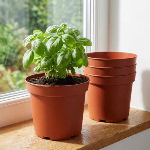 Macetero maceta interior plástico Ø15cm 10pcs | Floristik24.es
