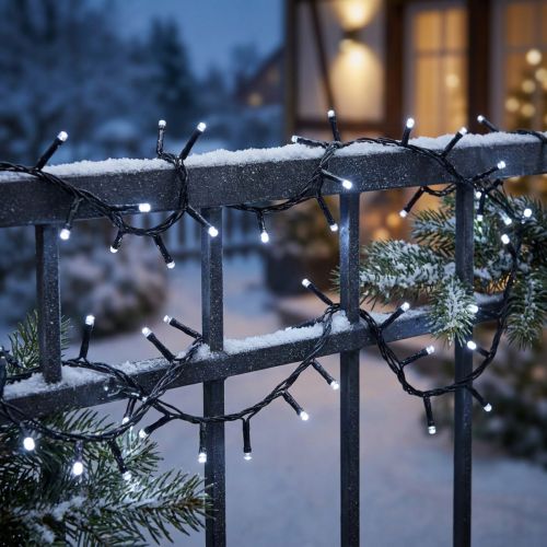 Cadena luminosa LED Rice 40s 3m para exterior blanco frío | Floristik24.es